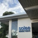 우정팜 | 세부 솔레아 막탄 리조트 팜 객실 룸컨디션 후기 가족여행 추천