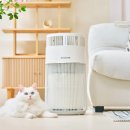 원룸펫청소박사24 | 하니웰 펫 공기청정기 True HEPA 추천 후기｜고양이 털 알레르기 집사가 진짜 신세계를 경험함