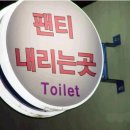 센스쟁이 이미지