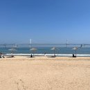 별난횟집