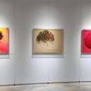 아이아트안경 이미지