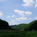 모악(322m)무학산(443m)황점산(290m)깃대봉[1](234m경주409)대박산(255m)깃대봉[2](282경주306)/경북영천 이미지