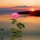 기분좋은하루 이미지