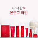 다이소 다나한 본연고 홍삼초 에센스 내돈내산 솔직후기