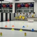 용인대 k-타이거즈 태권도장 이미지