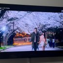 둥근해 이 미친거