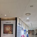 주식회사도담아이현대백화점중동점 | [ 경기도 부천 ] 5세 아이랑 중동현대백화점 파충류 &amp; 곤충탐험대 후기