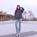 세탁사랑(삼봉점) | 피지컬에듀케이션 세븐틴 승관도 착용한 후드티, 후드집업 추천 솔직후기