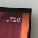채영사진관 | No, nothing will stay the same