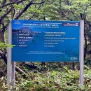 하늘오름마실 | [제주도] 영실코스 • 꿀팁 • 여름한라산 • 윗세오름