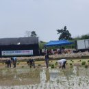 희망공동체 하정 이미지