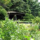 기초 생활영어 (초급) 이미지