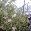 고일농장 이미지