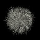 하이케어 이미지