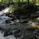 느티마을길 이미지