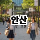 시화간척지(잔디광장) | 안산 가볼만한곳 알아보기