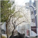 바우하우스 스튜디오 이미지