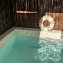 스테이 신사리 이미지