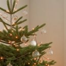 크리스마스 트리 이미지