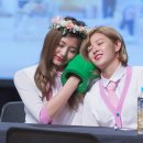 쿵쿵따 Daum카페