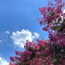 버스정류장(풍영정입구) 이미지