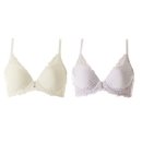 비너스와코루 이미지