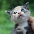 거창종합동물병원 이미지