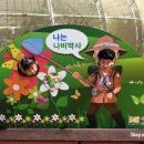 누리숲킨더가든어린이집 이미지