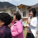 두마초등학교 이미지