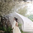 마인드7 | [웨딩일기16] 광주 고유스튜디오(구 써드마인드) 웨딩촬영 후기 #7 (⑤ 투피스 드레스)