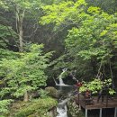 소망매점 | 정선 가볼만한곳 항골 숨바우길 계곡트레킹 후기 아름다운 우리길 100선