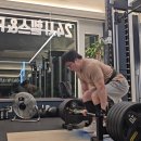 컨벤 데드리프트 220kg×3 이미지