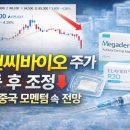 더플러스엘앤씨