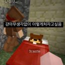 네일또여니