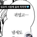 삼멍삼냥 이미지