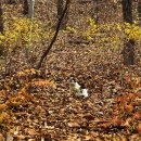 수락산 만남의광장 이미지