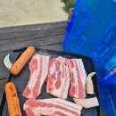 선유도 | 선유도 펜션 밀파소 후기 | 앞엔 몽돌해변, 뒤엔 갯바위 낚시 포인트