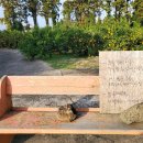 인터넷짱 | 감귤밭에서 귤도 따고 감성사진도 따고!! 공항 근처 '아날로그 감귤밭' 내돈내산 후기