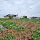 서수농장 이미지