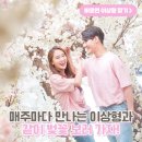 바로연결혼정보 이미지