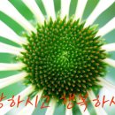 서울시립영등포장애인복지관 이미지