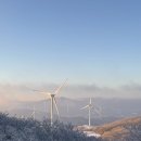 차주목장 | 뚜벅이 겨울 선자령 백패킹(산신령님 선물, 텐트 빵꾸, 쓰레기 줍다 개빡친 날)