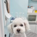 (주)가온메디 이미지