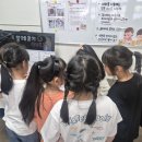 녹동초등학교 Daum카페
