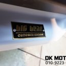 빅 베어 이미지