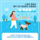 24시 수 동물메디컬센터 | 강아지슬개골탈구 치료 해야하는 이유는?