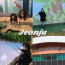자연아이숲유치원 | 전주 아이와 가볼만한 곳 전주자연생태관 전주 실내 체험