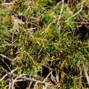 동여자중학교 이미지