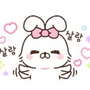 더킹스웨디시 이미지
