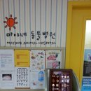 마야동물병원 이미지